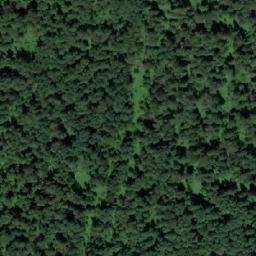 Satellite imagery of Бородавка, RU