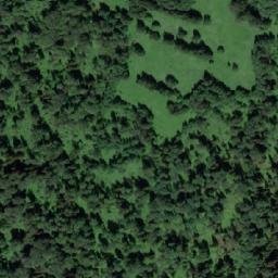Satellite imagery of Бородавка, RU