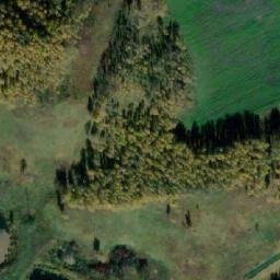 Satellite imagery of Помогаево Нов., RU
