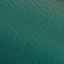 Satellite imagery of Kongshøj, DK