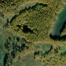 Satellite imagery of Помогаево Нов., RU