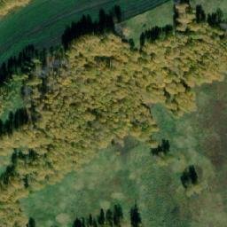 Satellite imagery of Помогаево Нов., RU