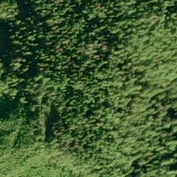 Satellite imagery of Fin Point, US