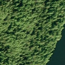 Satellite imagery of Fin Point, US
