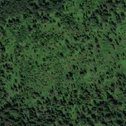 Satellite imagery of Нифонтово, RU