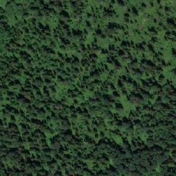 Satellite imagery of Нифонтово, RU