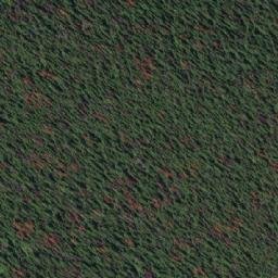 Satellite imagery of Bocock Peak, CA
