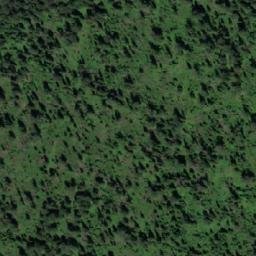 Satellite imagery of Нифонтово, RU