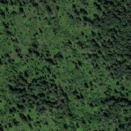Satellite imagery of Нифонтово, RU