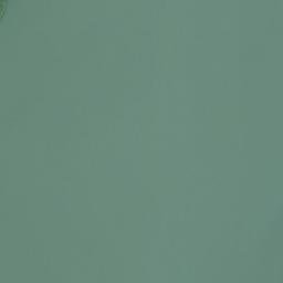 Satellite imagery of Yankee Point, US