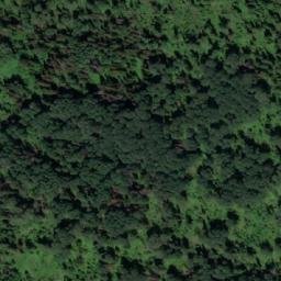 Satellite imagery of Нифонтово, RU