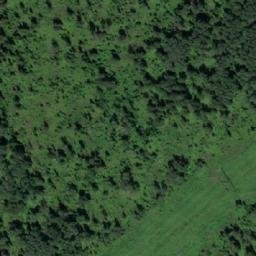 Satellite imagery of Нифонтово, RU