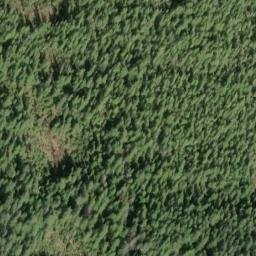 Satellite imagery of Kussan Point, US