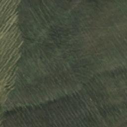 Satellite imagery of Шестаковское Поле, RU