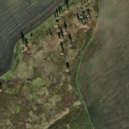 Satellite imagery of Шестаковское Поле, RU