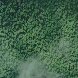Satellite imagery of Seal Rocks, US