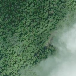 Satellite imagery of Seal Rocks, US