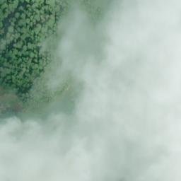 Satellite imagery of Seal Rocks, US