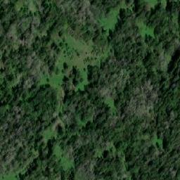 Satellite imagery of Гарь, RU