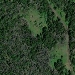Satellite imagery of Гарь, RU