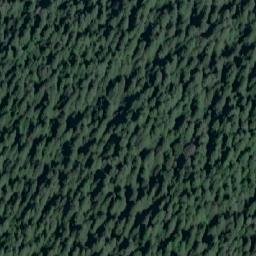 Satellite imagery of British Point, CA
