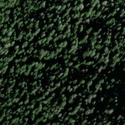 Satellite imagery of North Point, US