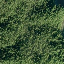 Satellite imagery of Snail Point, US