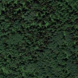 Satellite imagery of Некрасова, RU