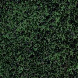 Satellite imagery of Карбышевка, RU