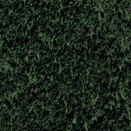 Satellite imagery of Карбышевка, RU