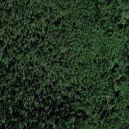 Satellite imagery of Карбышевка, RU