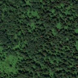 Satellite imagery of Щемиловка, RU