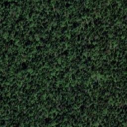 Satellite imagery of Карбышевка, RU