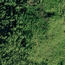 Satellite imagery of Nose Point, US