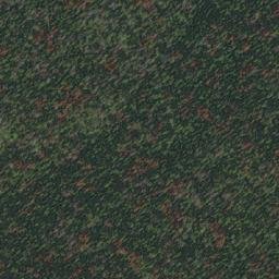 Satellite imagery of Mount Olson, CA