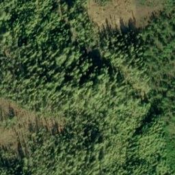 Satellite imagery of Chin Point, US