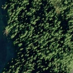 Satellite imagery of Chin Point, US