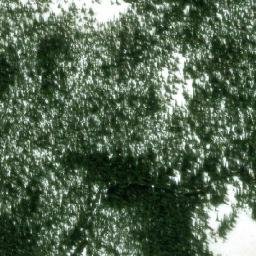 Satellite imagery of Kotsine Pass, CA