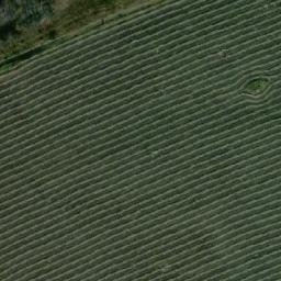 Satellite imagery of Тартаево, RU
