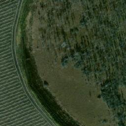 Satellite imagery of Тартаево, RU