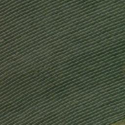 Satellite imagery of Тартаево, RU