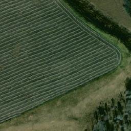 Satellite imagery of Тартаево, RU