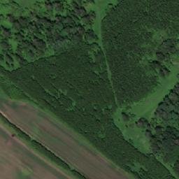 Satellite imagery of Власково, RU