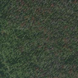 Satellite imagery of Mount Bates, CA