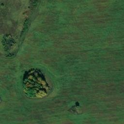 Satellite imagery of Трактовая Нов., RU