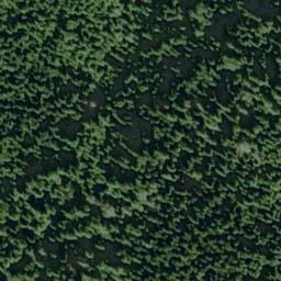 Satellite imagery of Point Swift, US