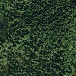 Satellite imagery of Point Swift, US