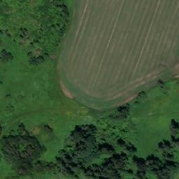 Satellite imagery of Пача, RU