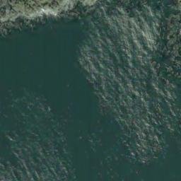 Satellite imagery of Dead Tree Point, US