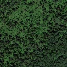 Satellite imagery of Бол. Подикова, RU
